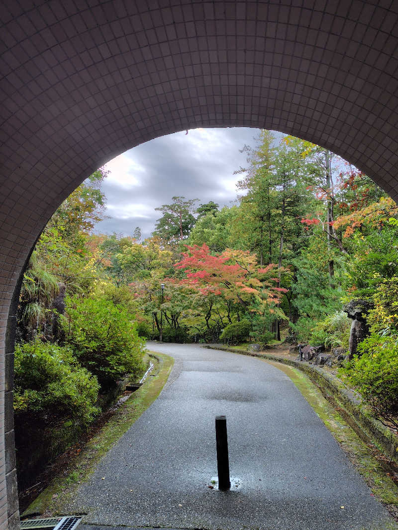 ねむさんの弥彦桜井郷温泉 さくらの湯のサ活写真