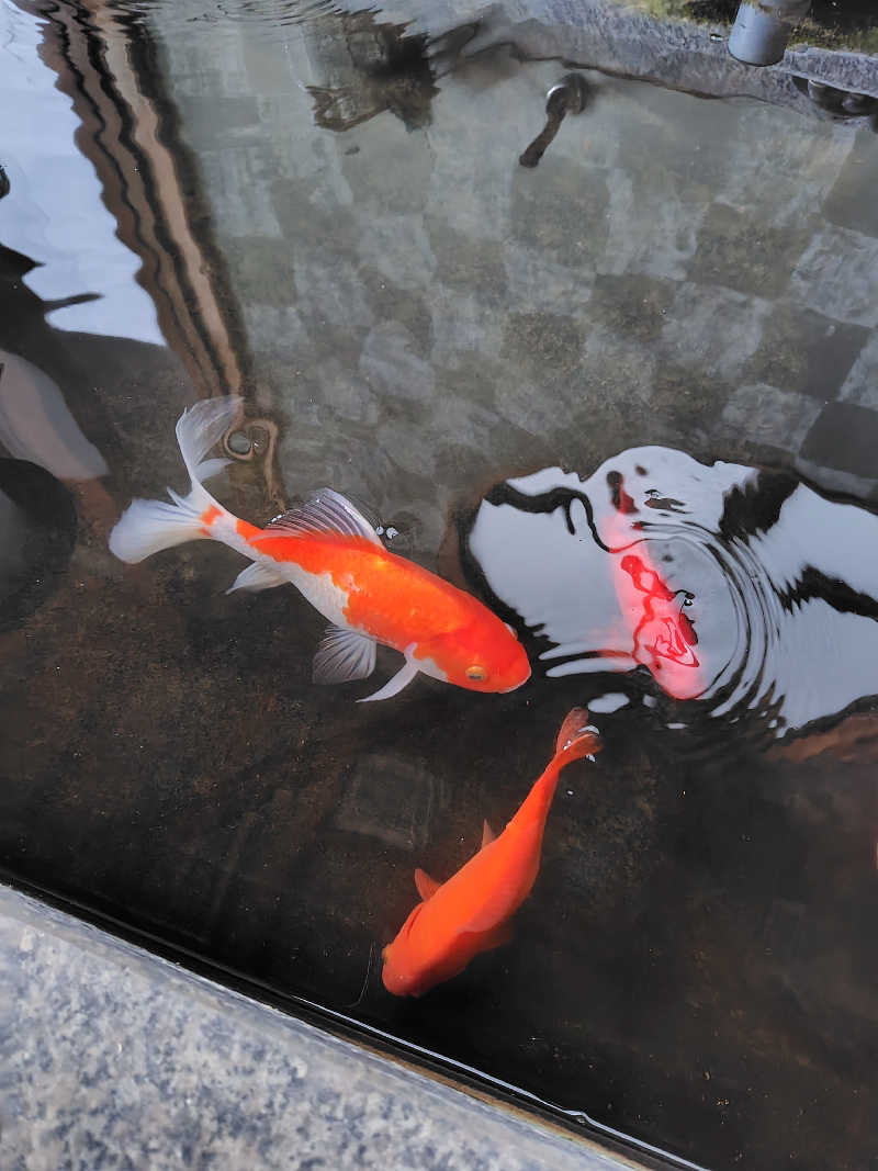 ねむさんのおぶせ温泉あけびの湯のサ活写真