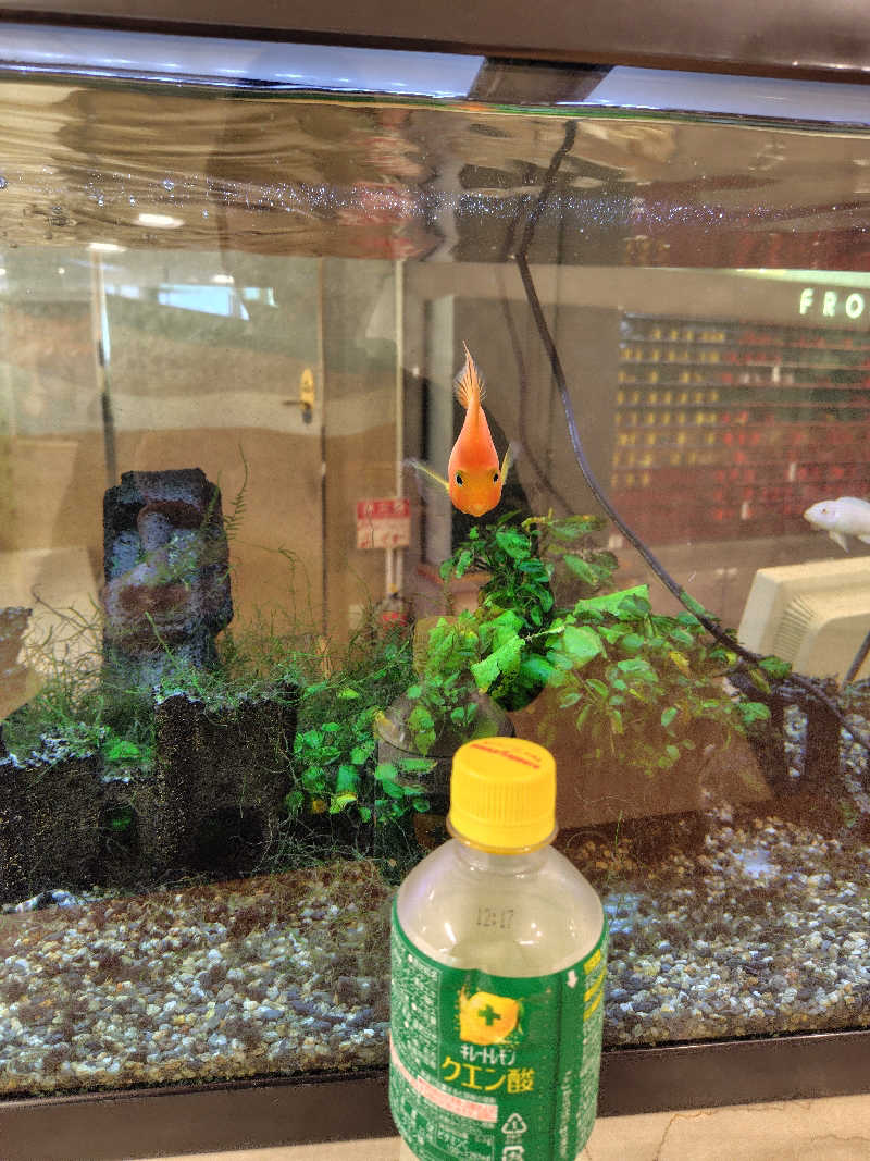 ねむさんの天然温泉リラックスパーク テルメ金沢のサ活写真