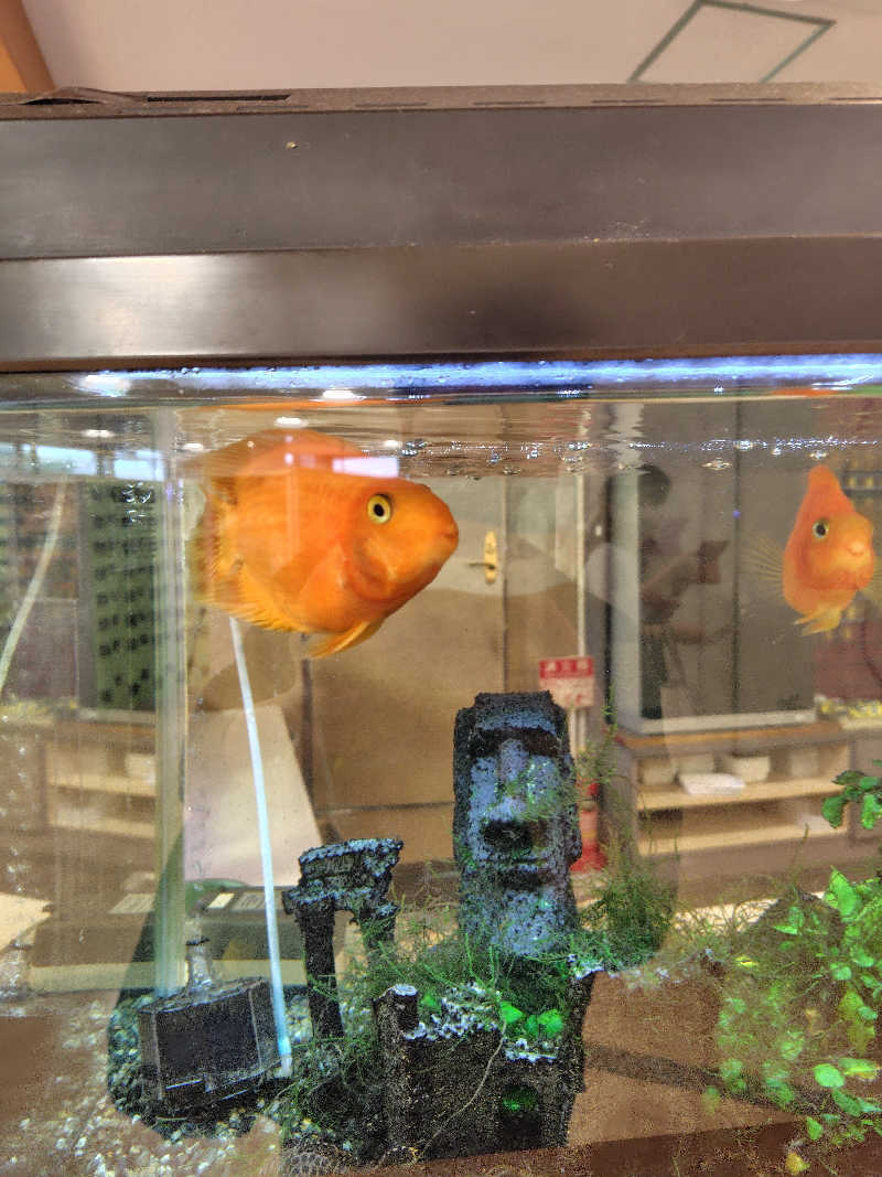 ねむさんの天然温泉リラックスパーク テルメ金沢のサ活写真