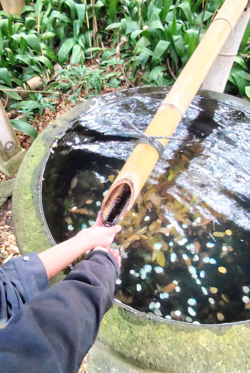 ねむさんの三国温泉ゆあぽーとのサ活写真