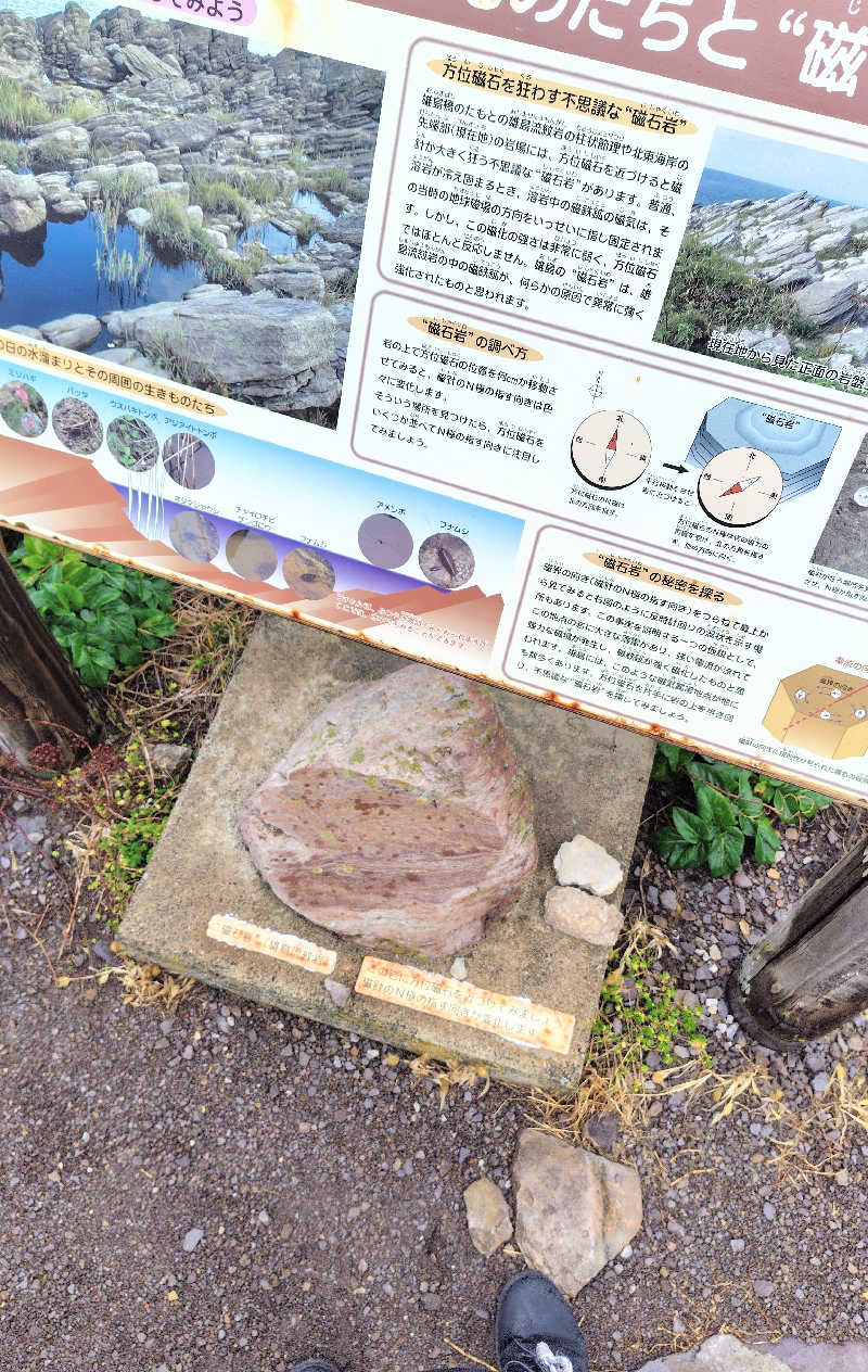 ねむさんの三国温泉ゆあぽーとのサ活写真