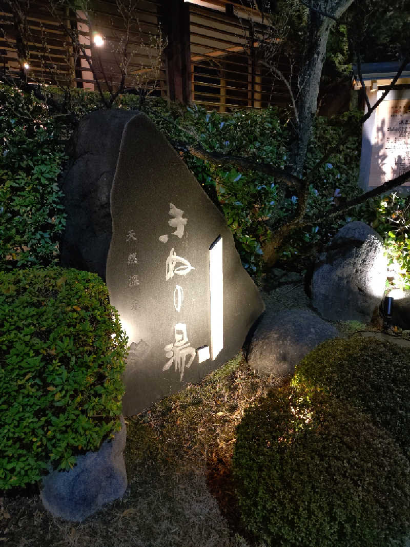 たんたん92さんの天然温泉きぬの湯のサ活写真