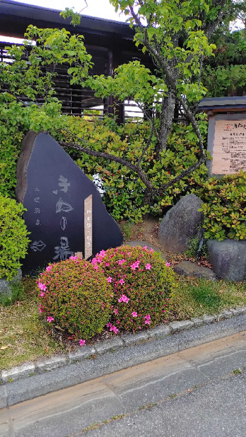 たんたん92さんの天然温泉きぬの湯のサ活写真