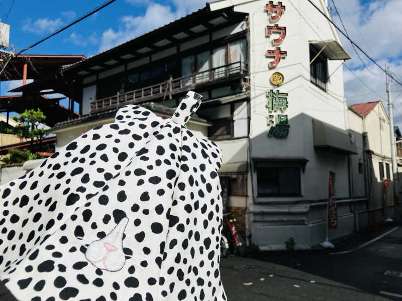 こいるさんのサウナの梅湯のサ活写真