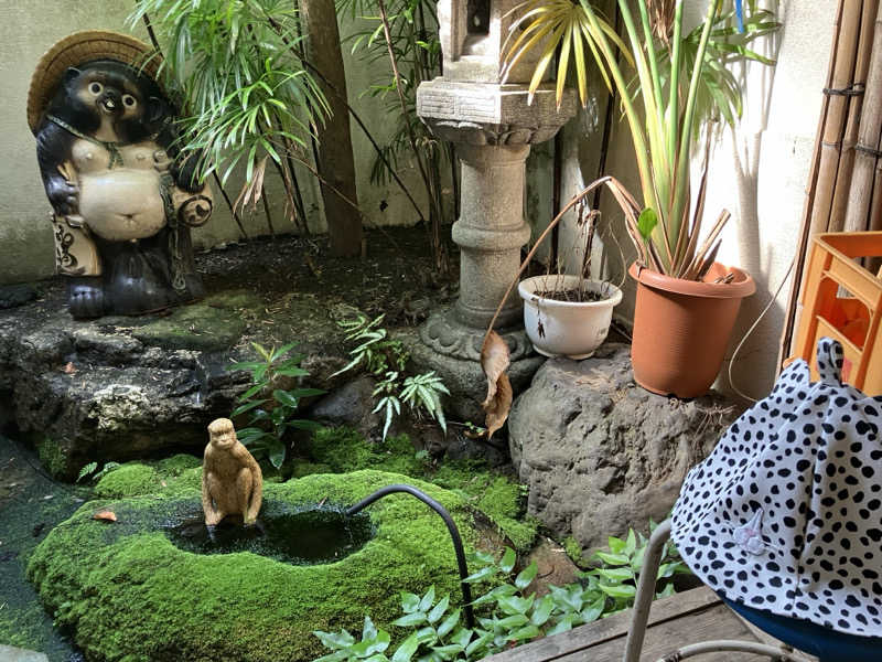 こいるさんのサウナの梅湯のサ活写真