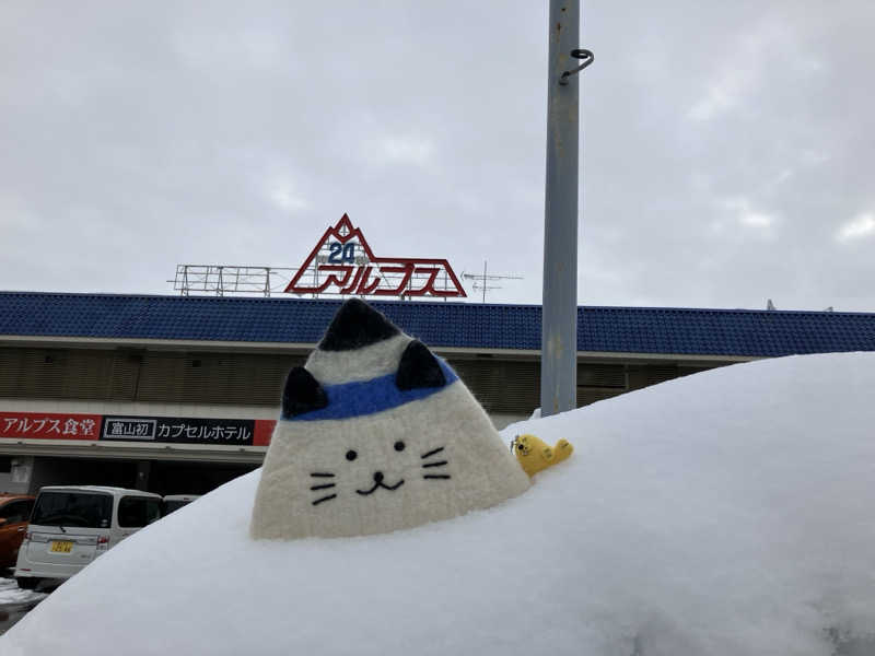 こいるさんのスパ・アルプスのサ活写真