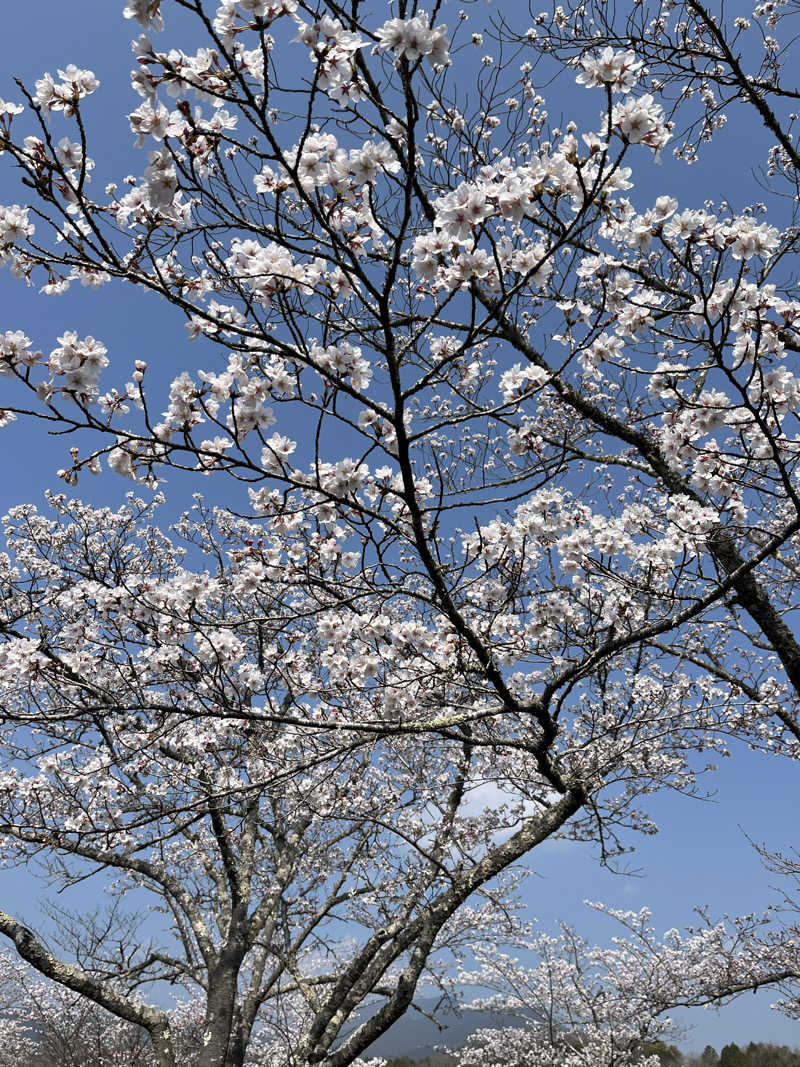 まっつんさんの大江戸温泉物語 恵那峡のサ活写真