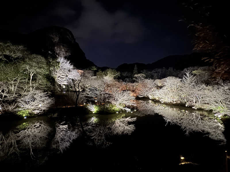 アデデデデさんの御船山楽園ホテル  らかんの湯のサ活写真