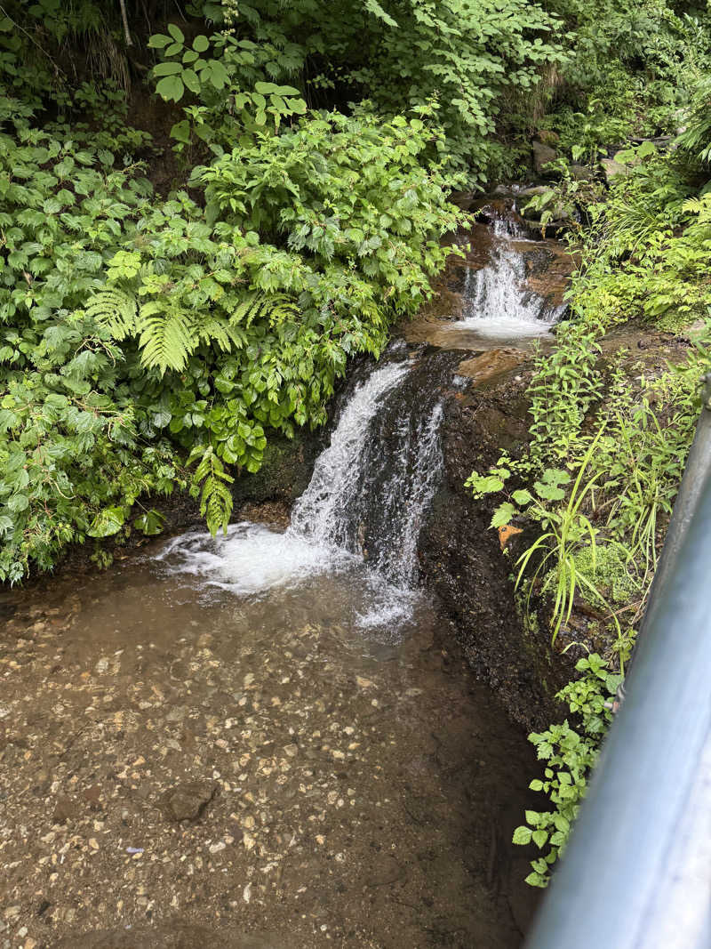 えふぁさんの滝つぼサウナ(サンバードサウナガーデン)のサ活写真