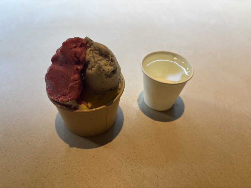 イキすぎちゃんさんの休日湯のサ活写真