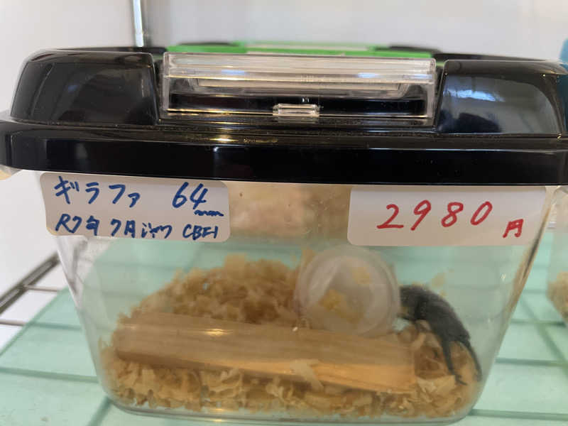 ノブーンさんのみはらしの丘 みたまの湯のサ活写真