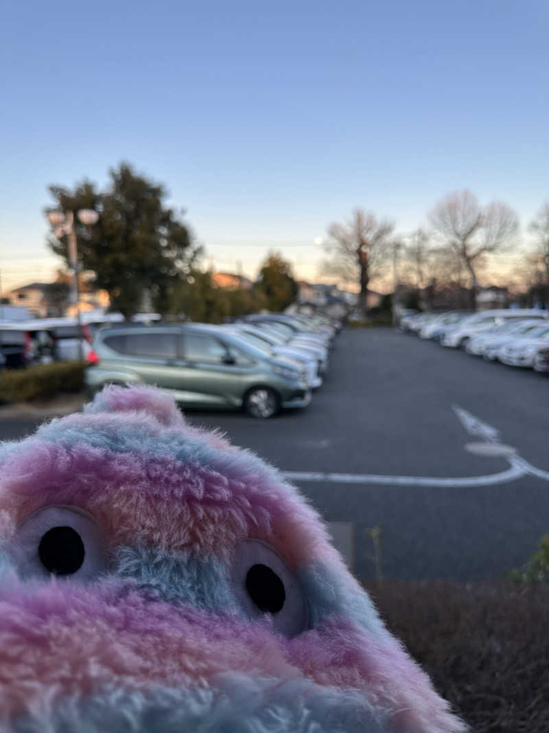 よそべぇさんの昭島温泉 湯楽の里のサ活写真