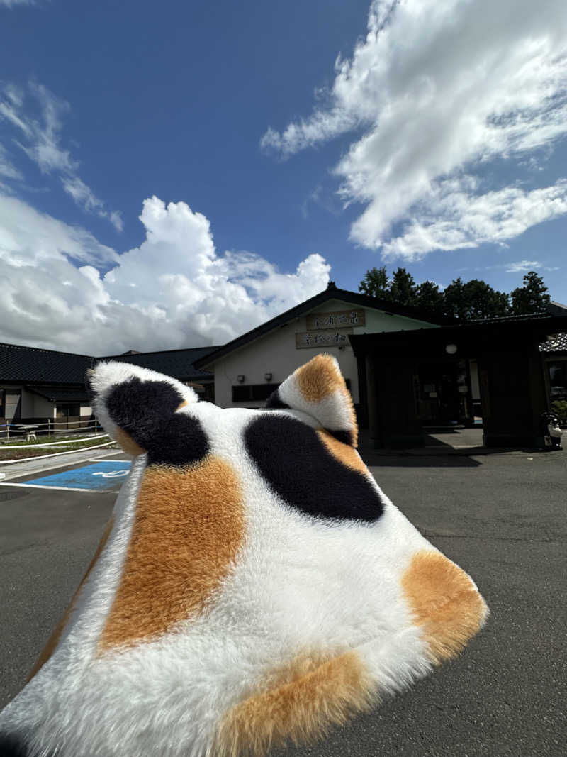 よそべぇさんの金浦温泉・学校の栖のサ活写真