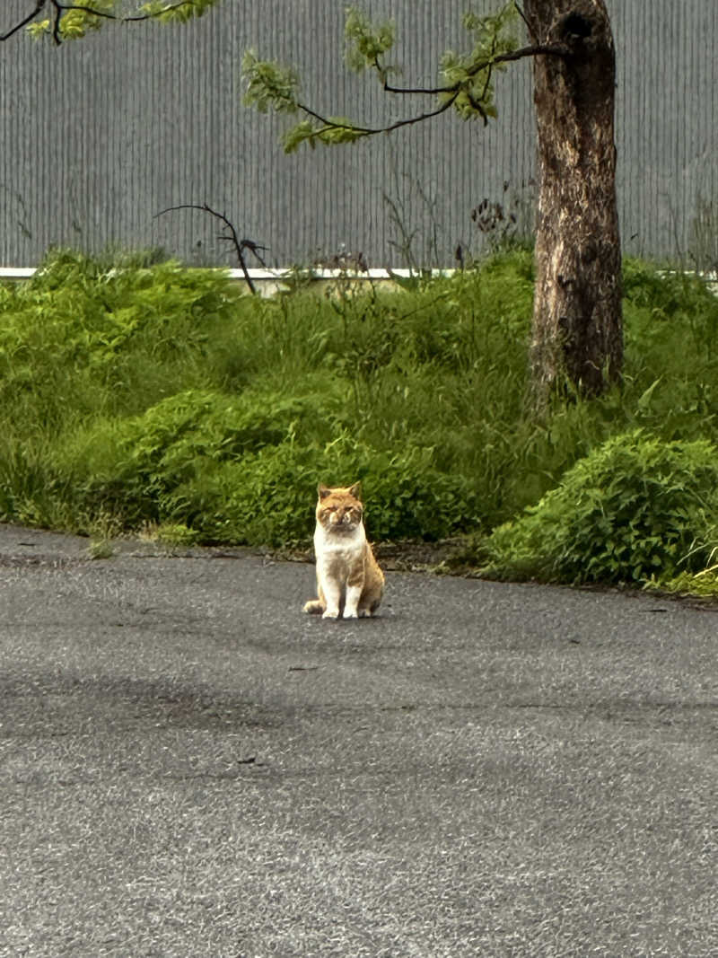 よそべぇさんの八森温泉ゆりんこのサ活写真
