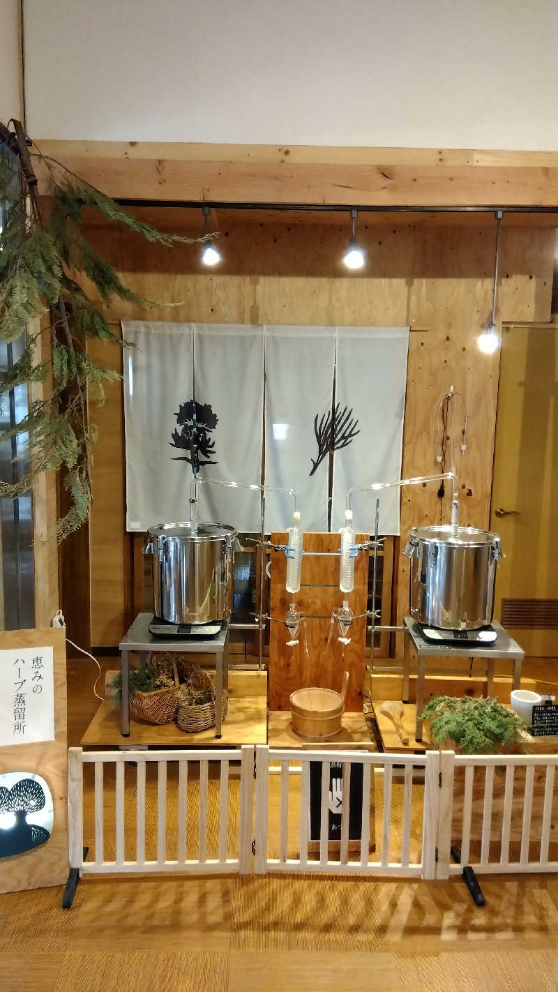saunasanさんの岐阜各務原 恵みの湯のサ活写真