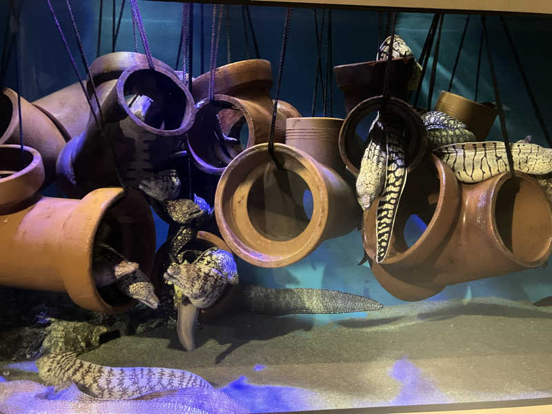 etsumiさんの名古屋ビーズホテル らくだの湯のサ活写真