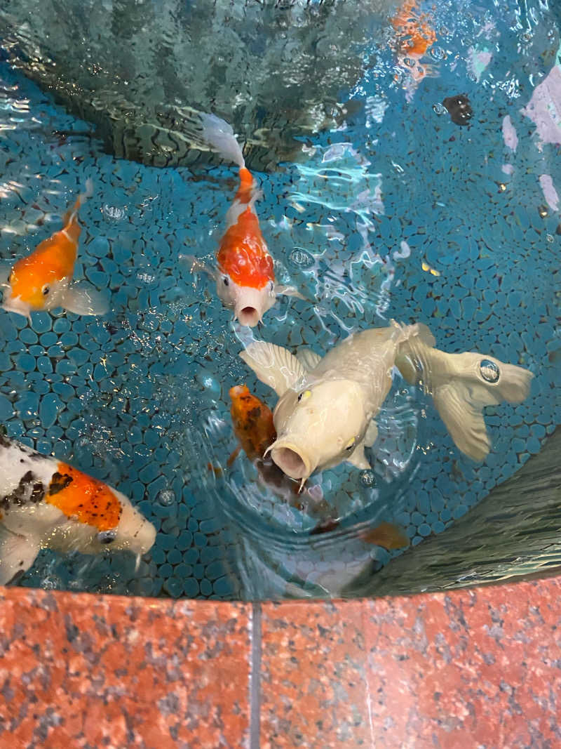 サウナ浪士さんの夢の公衆浴場 五色のサ活写真