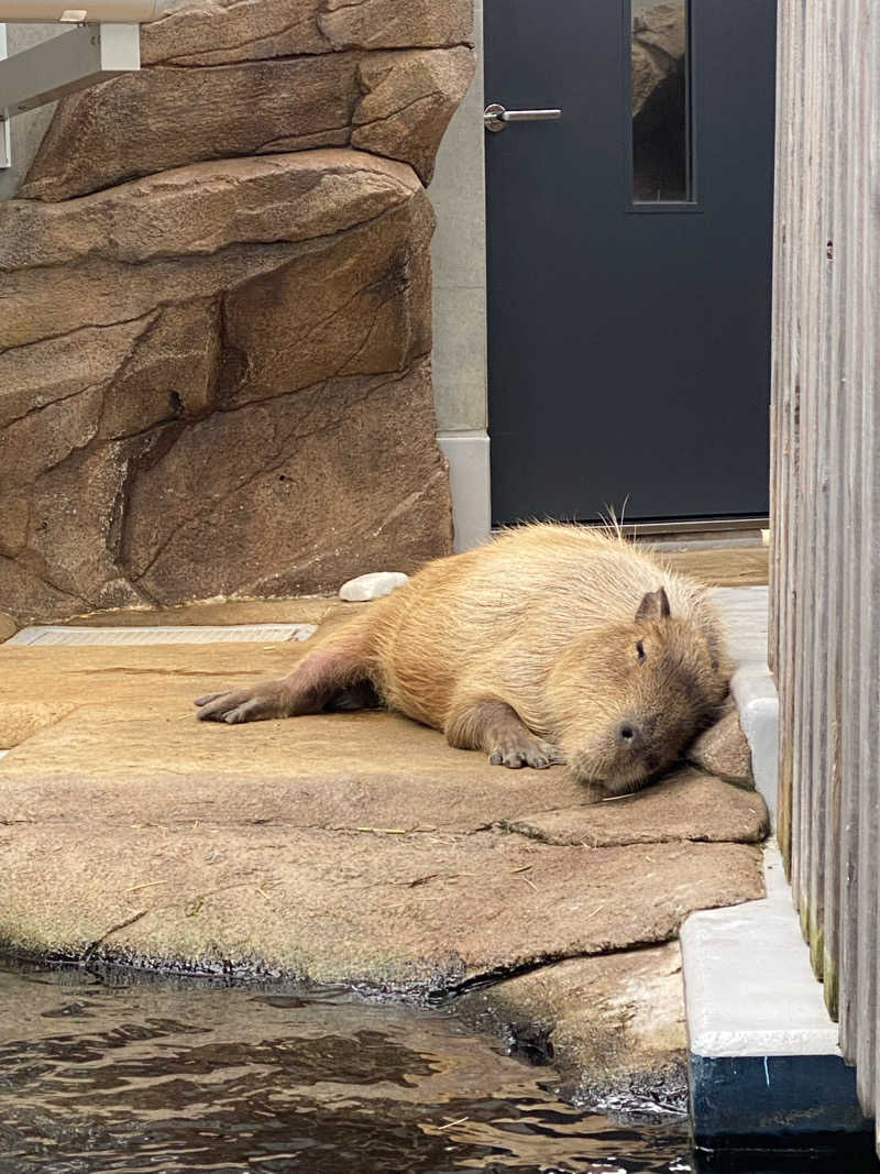 コーヒーサウナ浪士さんの花園温泉 sauna kukkaのサ活写真