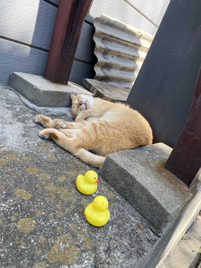 コーヒーサウナ浪士さんのユートピア白玉温泉のサ活写真