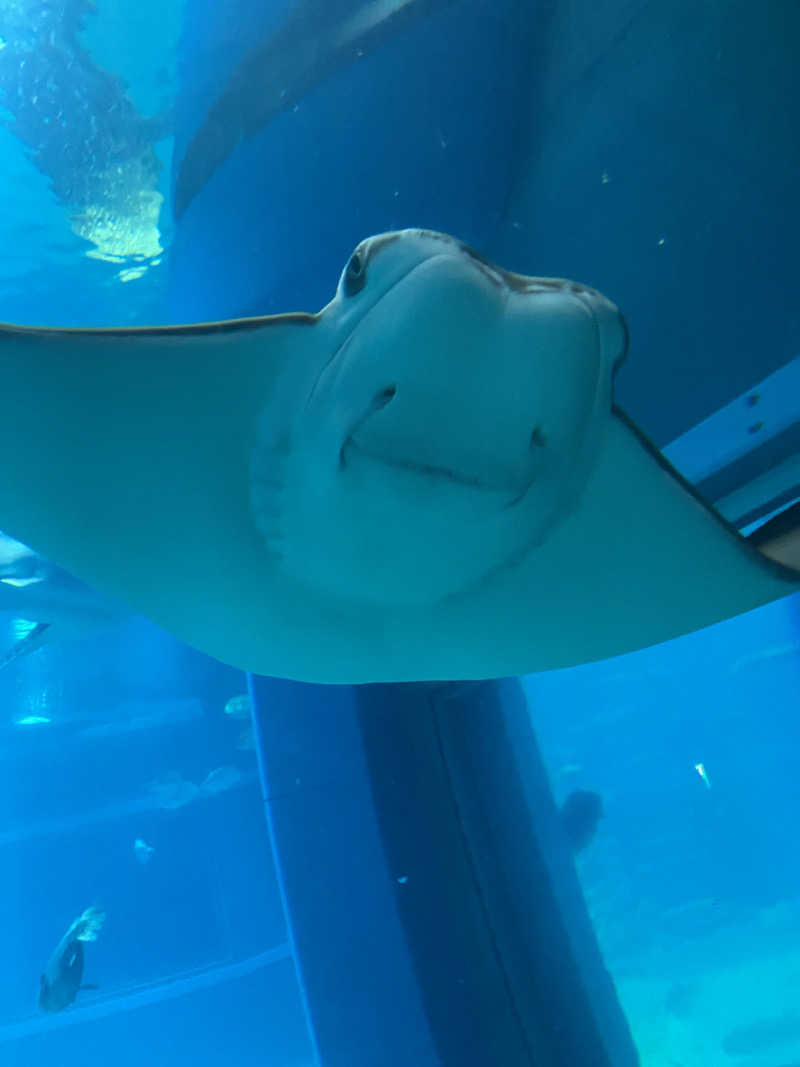 コーヒーサウナ浪士さんの空庭温泉 OSAKA BAY TOWERのサ活写真