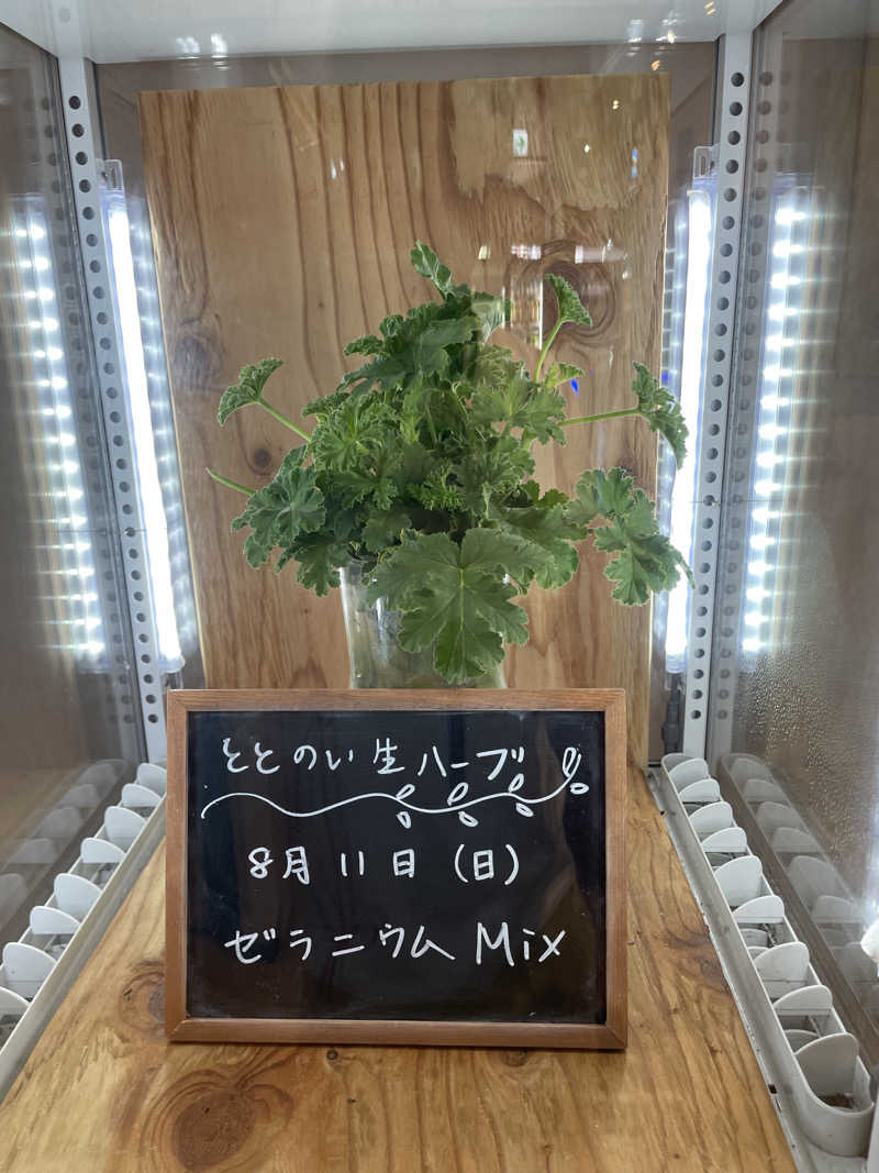 Taka(saunner201906)さんの岐阜各務原 恵みの湯のサ活写真