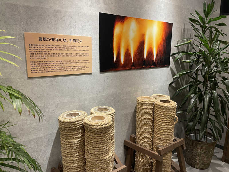 Taka(saunner201906)さんの天然温泉 つつじの湯 ドーミーインEXPRESS豊橋のサ活写真