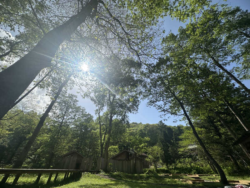 tomoさんのThe Saunaのサ活写真