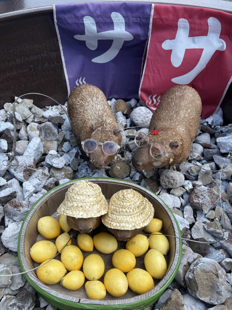 ともみさんの富士山天然水SPA サウナ鷹の湯のサ活写真