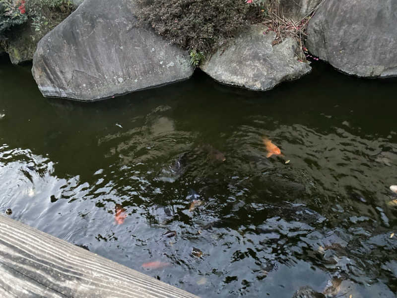 マッキーさんの粕川温泉元気ランドのサ活写真