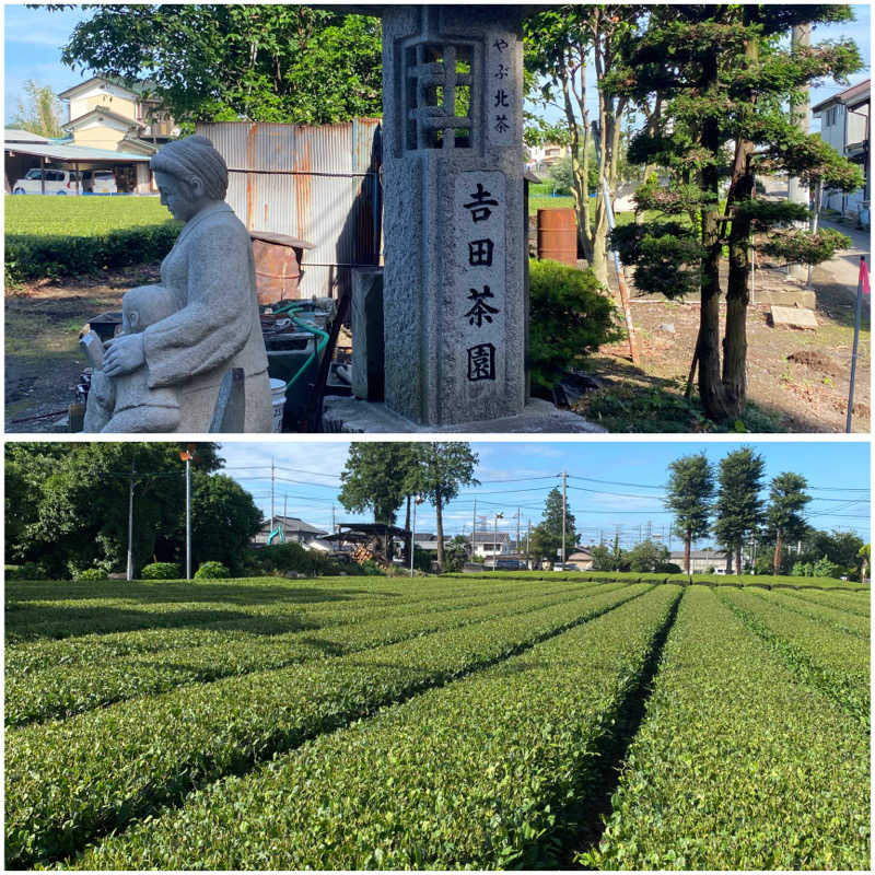 マッキーさんのSAUNA NAYAのサ活写真