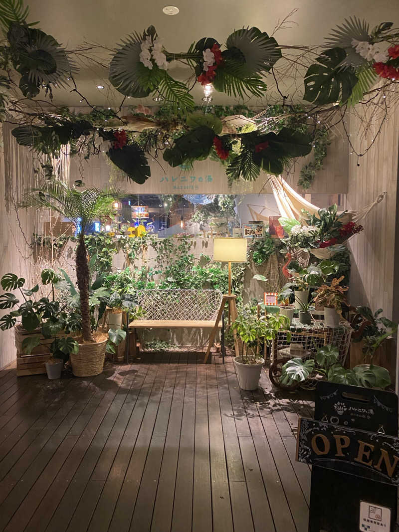 マッキーさんのおふろcafé ハレニワの湯のサ活写真