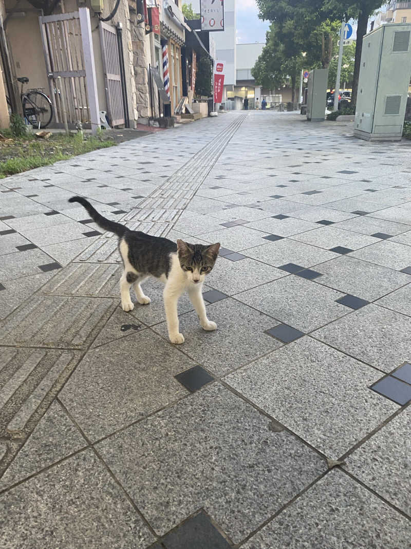 マッキーさんのニノサのサ活写真