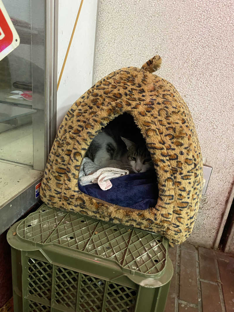 マッキーさんのニノサのサ活写真