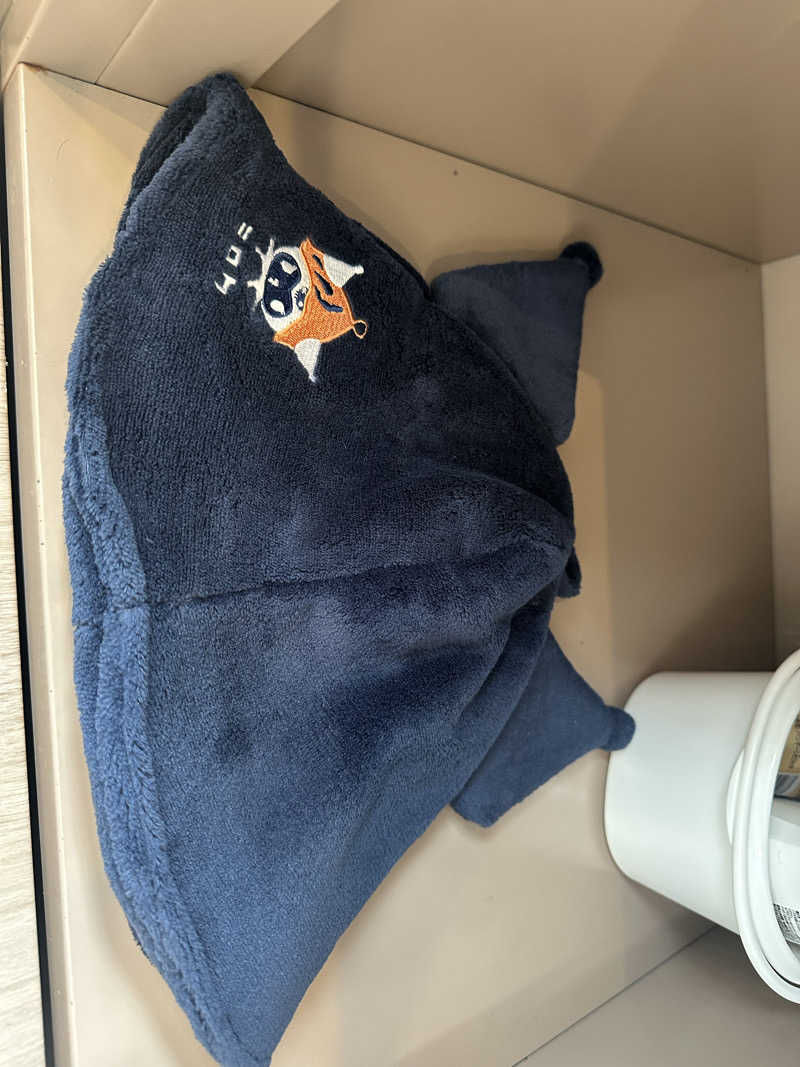 りんごちゃんさんのCOCOFURO おおみね湯のサ活写真