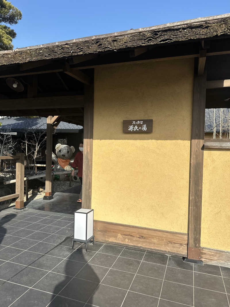 りんごちゃんさんのスッカマ 源氏の湯のサ活写真