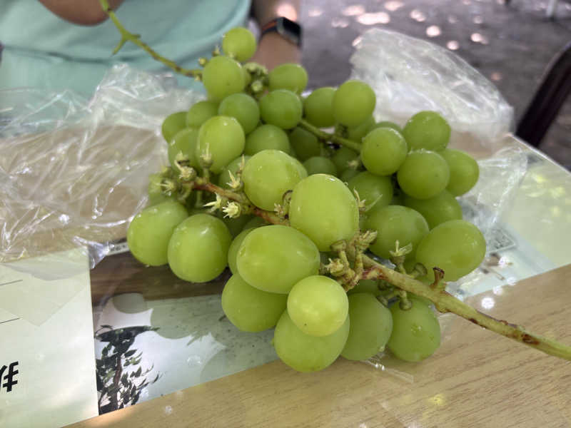蒸しメガネさんの山梨泊まれる温泉 より道の湯のサ活写真