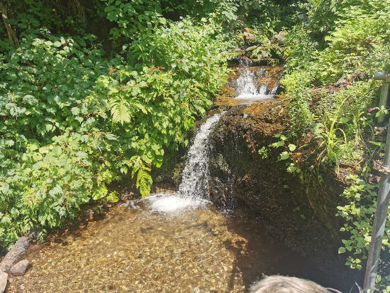 DMととのい隊さんの滝つぼサウナ(サンバードサウナガーデン)のサ活写真