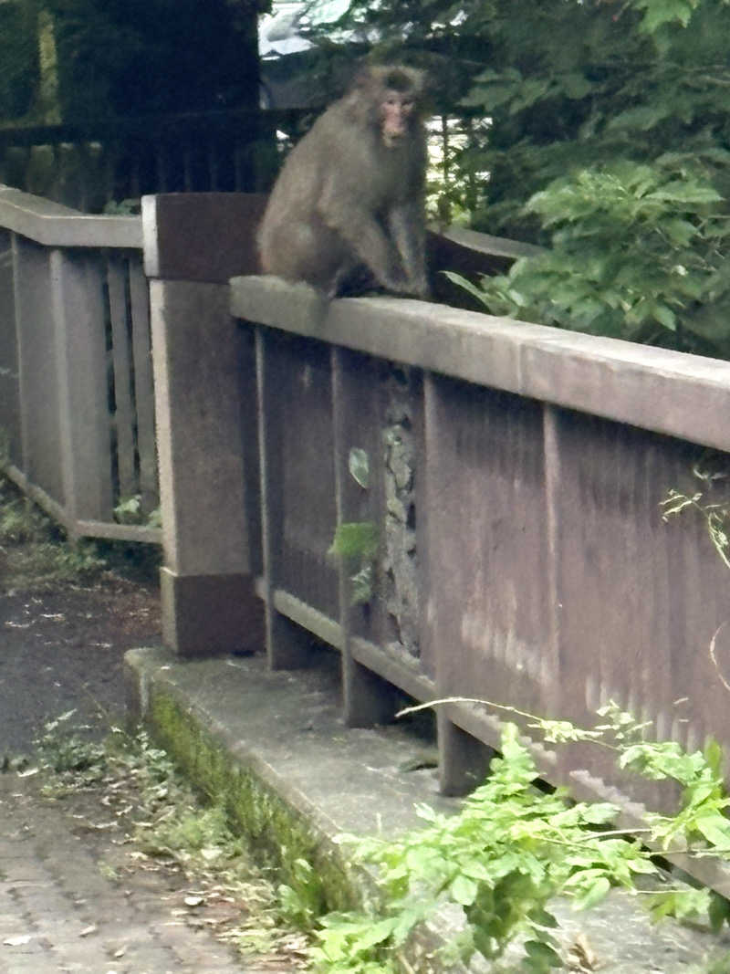 コタさんの白丸villageのサ活写真