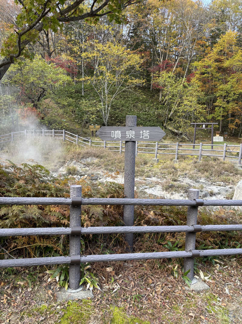 菅温泉さんのトムラウシ温泉 東大雪荘のサ活写真