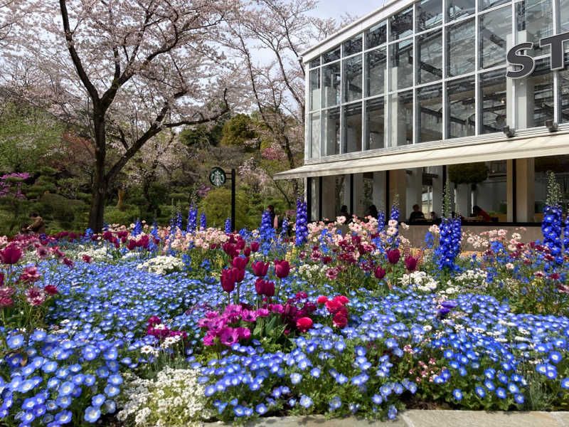 T.Katoさんのよみうりランド眺望温泉 花景の湯のサ活写真