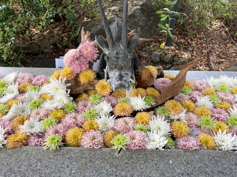 T.Katoさんのよみうりランド眺望温泉 花景の湯のサ活写真