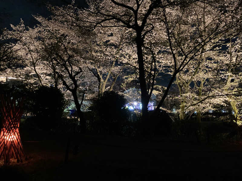 T.Katoさんのよみうりランド眺望温泉 花景の湯のサ活写真