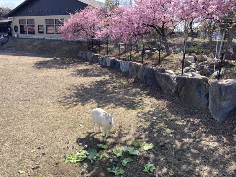 T.Katoさんの花湯スパリゾートのサ活写真