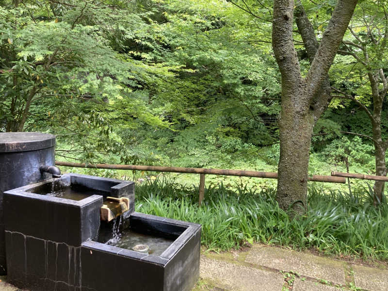 T.Katoさんの天山湯治郷 ひがな湯治 天山のサ活写真