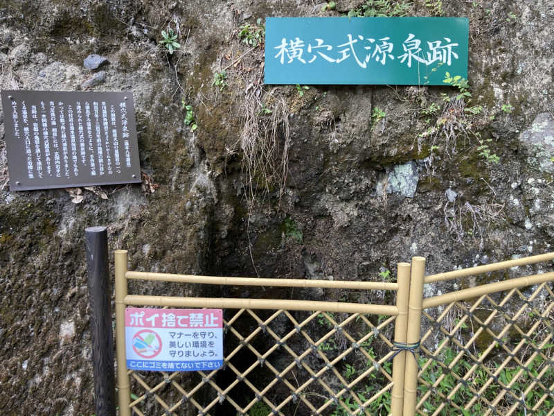 T.Katoさんの山賊サウナのサ活写真