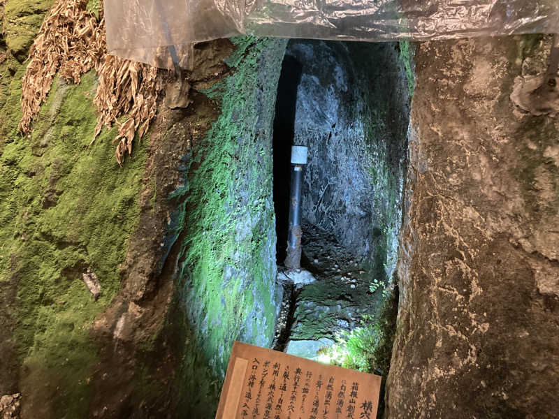 T.Katoさんの山賊サウナのサ活写真