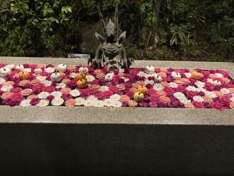 T.Katoさんのよみうりランド眺望温泉 花景の湯のサ活写真