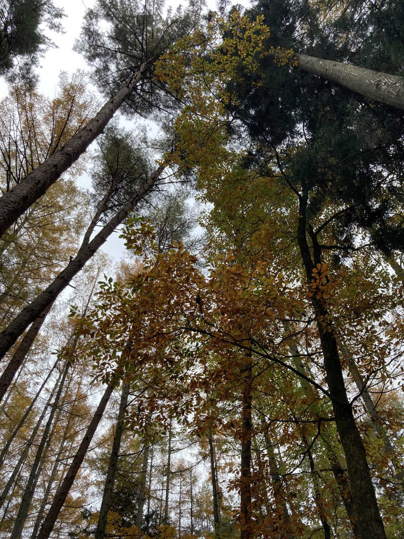 T.KatoさんのFOLKWOOD SAUNAのサ活写真