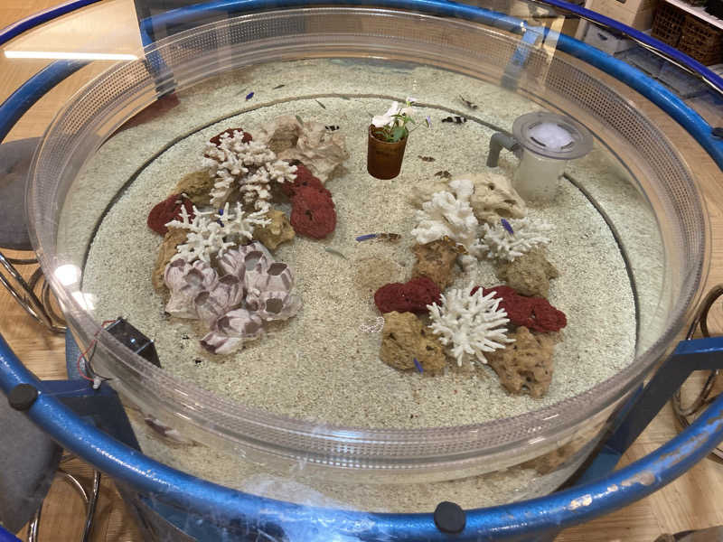 T.Katoさんの福美湯のサ活写真